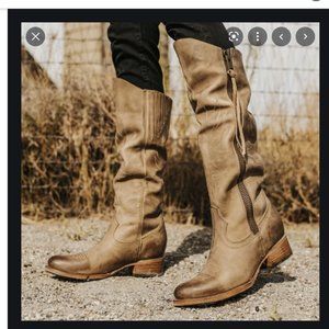 Freebird by Steven Whisper Tan